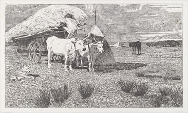 Oxen Yoked to the Cart (Maremma) [Bovi al carro (Maremma)], 1886/1887.