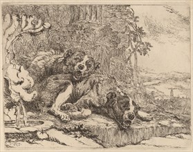 Two Mastiffs beside a Fountain, probably c. 1640/1642.