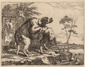 Two Dogs Copulating, probably c. 1640/1642.