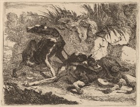 Two Greyhounds, Leashed and Facing Opposite Directions, 1642.