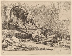 Two Beagles, One Sleeping, probably c. 1640/1642.