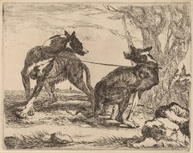 Two Greyhounds, Leashed and Facing Each Other, 1640.