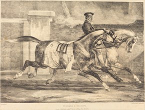 Horses Exercising, 1821.