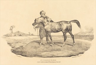 An Arabian Horse, 1821.