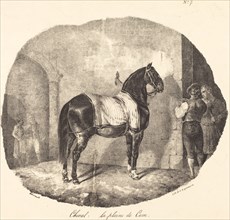 Cheval de la plaine de Caen, 1822.