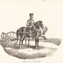 Cheveaux des Ardennes, 1822.