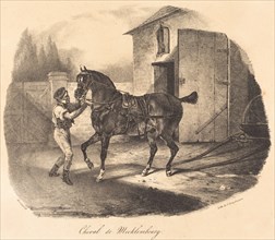 Cheval de Mecklembourg, 1822.