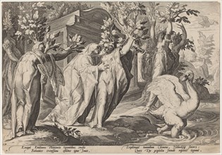 Phaeton's Sisters Changed into Poplars, and Cygnus into a Swan, 1589.