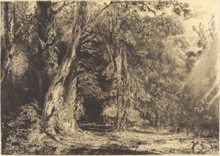 Flooding in the Forest of the Ile Séguin, c. 1833.