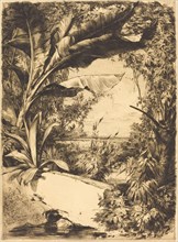 Plantes de Serre, 1863.