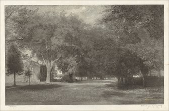 New England Elms, c. 1889-1890.