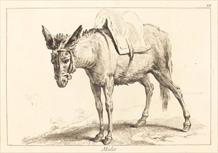 Mulet (Mule or Saddled Donkey).