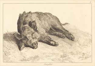 Sanglier (Wild Boar Lying Down, Head to the Left).