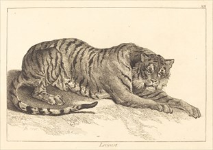 Leopart (Leopard or Tiger).