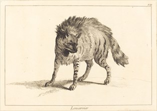 Loucervier (Hyena).