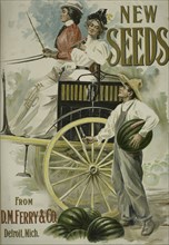 New seeds, c1895 - 1917.