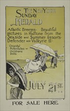 The New York Sunday herald. July 21st 1895, c1893 - 1897.