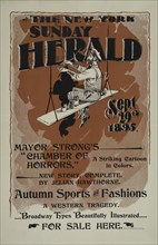 The New York Sunday herald. Sept. 29th 1895, c1893 - 1897.