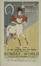 The New York Sunday world. Sunday November 10th. 1895, c1893 - 1897.