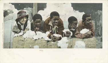 Coons in A Cotton Shed, 1902 - 1903.