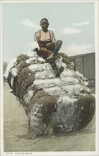 Out on Bale, ca.1898 - 1931.