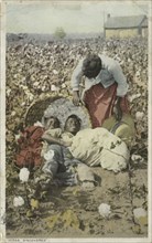 Discovered, In the Land of King Cotton (Cotton Field), ca.1898 - 1931.