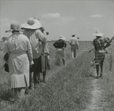 African American cotton plantation workers, hired as day laborers, walking next to..., August 1940. Creators: Farm Security Administration, Marion Post Wolcott.