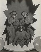 The Three Monkeys, 1937.