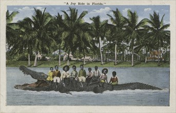 A Joy Ride in Florida - postcard mailed to Frederick Hoeing, 1917.