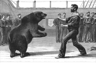 ''A Boxing Match on board H.M.S."Cambridge"; The pet bear "Bob" has now been transferred to the Zool Creator: Unknown.