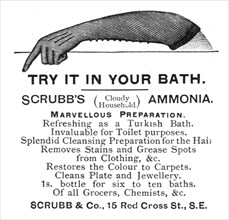 ''Scrubb & Co.', 1891. Creator: Unknown.