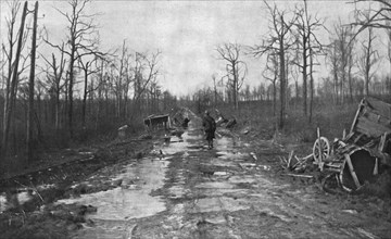 'Aspects du champ de bataille de Verdun; La route "marmitee"', 1916. Creator: Unknown.