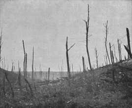 'La reprise du bois de la Caillette; Le debouche du ravin de la Caillette', 1916. Creator: Unknown.