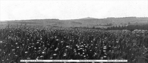 'Panoramas du champ de bataille, a l'ouest de la Meuse; Les arbres, sur la crete..., 1916. Creator: Unknown.