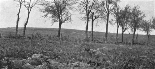 'Aspects du champ de bataille de Verdun; La route, plantee d'arbres d'Esnes a Bethincourt..., 1916. Creator: Unknown.
