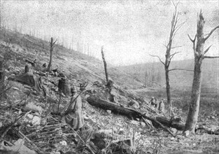 'La reprise du bois de la Caillette; Avant l'attaque du 5 avril : troupes defilees derriere..., 1916 Creator: Unknown.