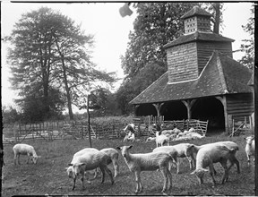 Gate Cottage, Dovecote, Horsenden, Princes Risborough, Wycombe, Buckinghamshire, 1918. Creator: Katherine Jean Macfee.