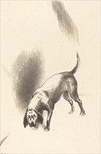 The Dog, 1896. Creator: Odilon Redon.