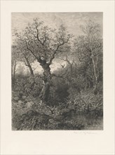 Autumn, 1871. Creator: Eduard Willmann.