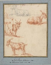 Studies of Goats, n.d. Creator: Jan Roos.