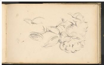 Peonies, 1890/1893. Creator: Paul Cezanne.