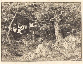 Rock Oaks, 1861. Creator: Theodore Rousseau.