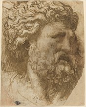 Head of a Man. Creator: Domenico Campagnola.