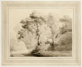 Wooded Landscape, 1774. Creator: Francis Towne.
