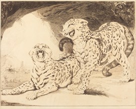 Leopards, 1798. Creator: Samuel William Reynolds.