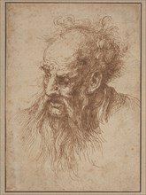 An Elderly Man with a Flowing Beard. Creator: Unknown.