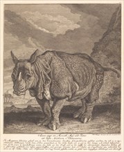 Nashorn Rhinoceros, 1748. Creator: Johann Elias Ridinger.