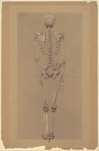 Rear View of a Skeleton, 1848. Creator: Daniel Huntington.