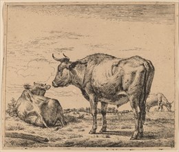 Standing Bull, c. 1657/1659. Creator: Adriaen van de Velde.