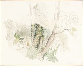 Trees at Beddington, possibly c. 1805. Creator: Robert Hills.